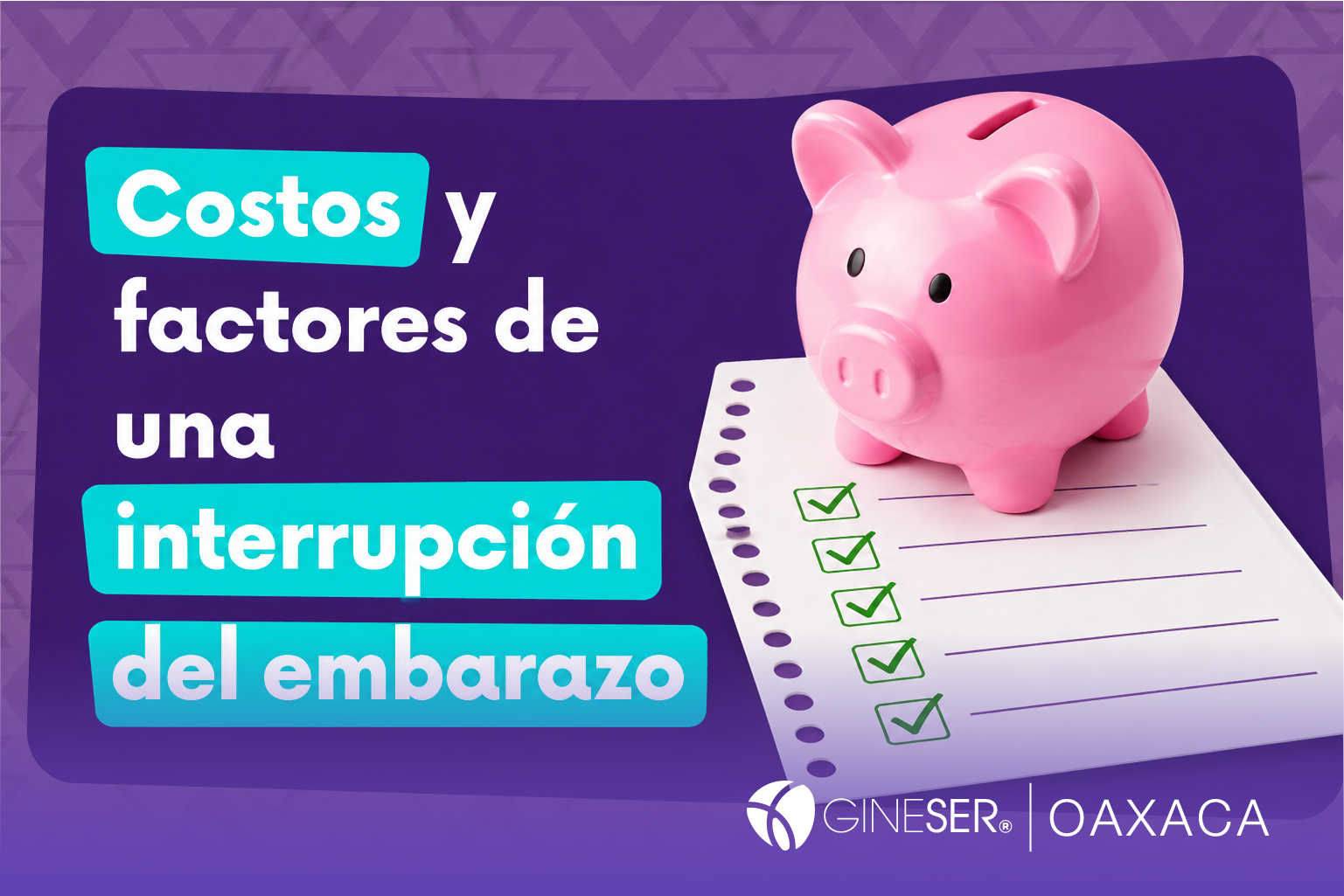 Costos y factores de una interrupción del embarazo en Oaxaca